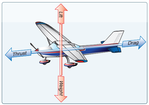 The Aerodynamics of Flight
