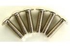 CEN%20Truss%20Head%20Screw%203x10%20(x6)