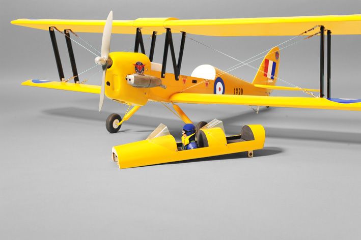 phoenix tiger moth