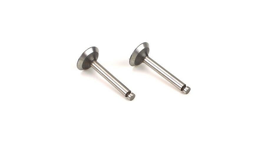 Valve%20(in%20&%20out)%20Pair