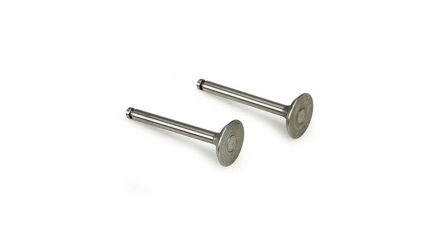 Valve%20(in%20&%20out)%20Pair%20(325R546)