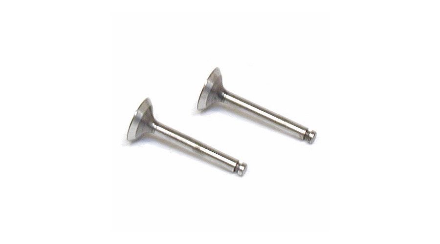 Valve%20(in%20&%20out)%20Pair%20(FA40%2045%2050)