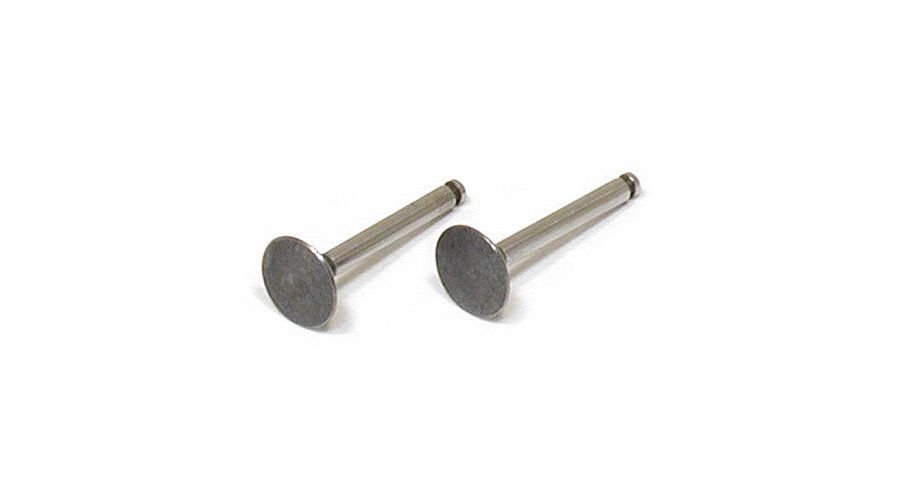 Valve%20(in%20&%20out)%20Pair%20(FA56)