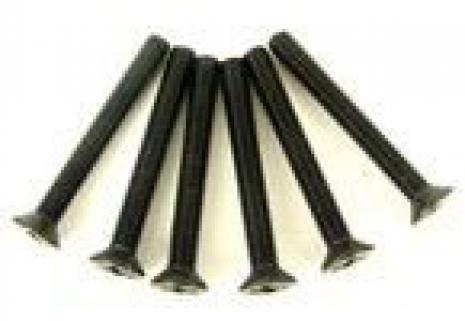 CEN Flat Head Screw 3x24 (x6)