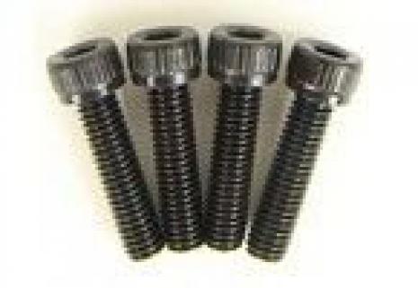 CEN Cap Screw 3.5x14 (x4)