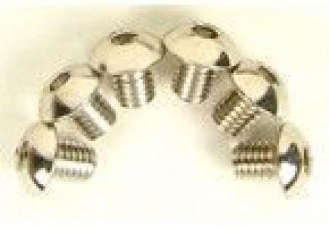 CEN Truss Head Screw 5x6 (x6)