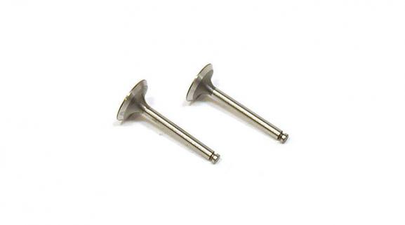 Valve (in & out pair) (FA100 100GK)