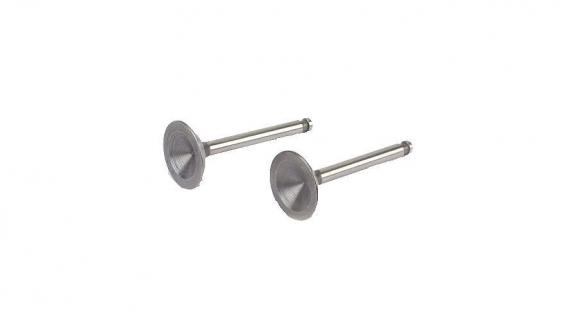 Valve (in & out pair) (FA120S, 120SH, 120SGK, 120SDP, 150S, 150H, 150GK, 150SDP, 300T, 300TL, 300TTDP, 450R3D)