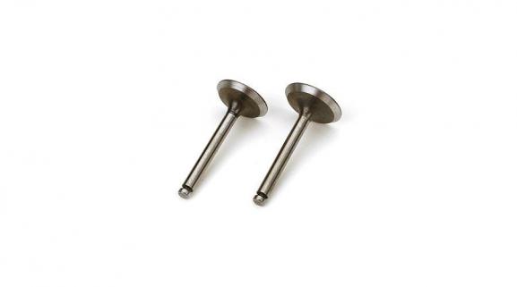 Valve (in & out pair)
