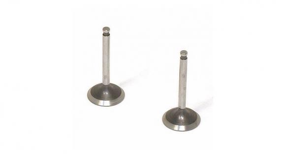 Valve (in & out) pair