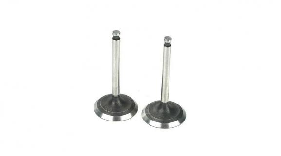 Valve (in & out) (FA220)
