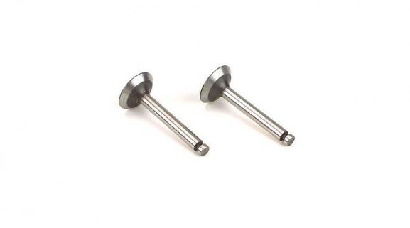 Valve (in & out) Pair