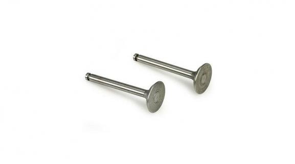 Valve (in & out) Pair (325R546)