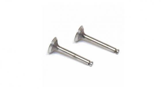 Valve (in & out) Pair (FA40 45 50)