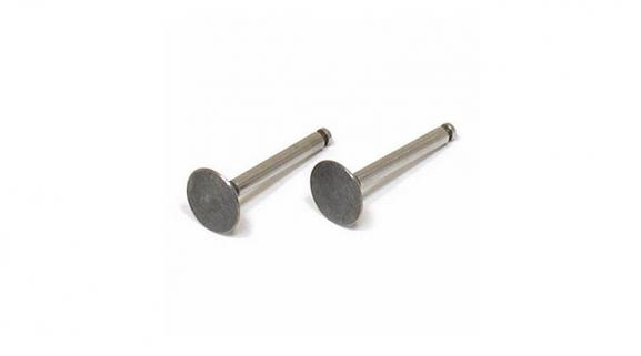 Valve (in & out) Pair (FA56)