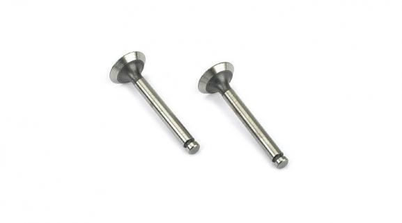 Valve (in & out) Pair (FA60T)