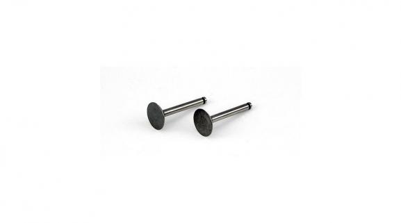 Valve (in & out) (FA62)