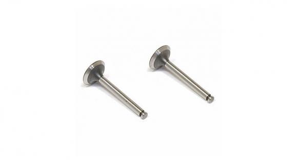 Valve (in & out pair) (FA65)