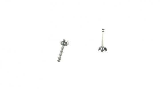 Valve (in & out) (FA90TS)