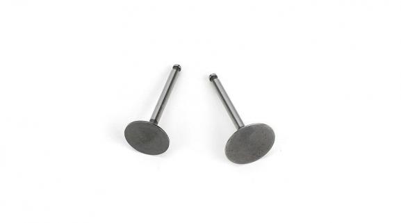 Valve (in & out) (FG36)