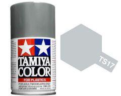 TS-17 Gloss Aluminum 100ml Spray